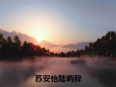 小说苏安怡陆屿辞（思念的时候，月亮会替她抱紧他）大结局免费阅读-思念的时候，月亮会替她抱紧他最新热门小说全文阅读