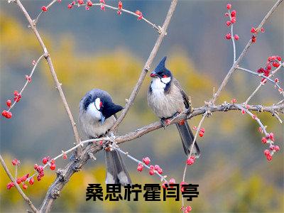 桑思柠霍闫亭全本资源（桑思柠霍闫亭）全文免费阅读无弹窗大结局_桑思柠霍闫亭最新章节列表（桑思柠霍闫亭）