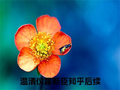 高赞小说（温清仪霍靳臣小说免费阅读）完结阅读_温清仪霍靳臣全文免费阅读最新章节大结局