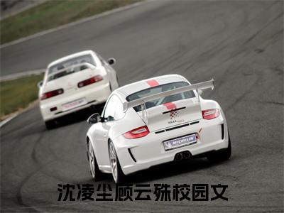 沈凌尘顾云殊全文全文免费阅读_他们之间横膈的，一直都是他的不爱罢了全文最新章节列表笔趣阁（沈凌尘顾云殊）