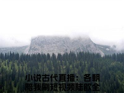 抖音新书热荐古代直播：各朝陪我刷短视频陆歆-小说全文完整版免费阅读