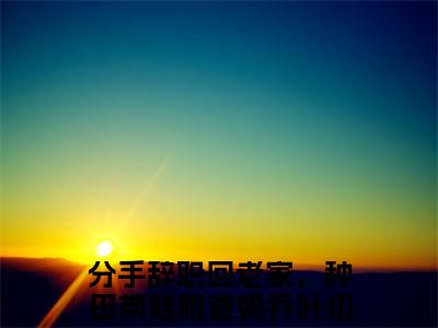 分手辞职回老家，种田带娃陪爸妈乔叶初精选言情小说- 分手辞职回老家，种田带娃陪爸妈乔叶初全文在线阅读