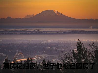 洞房花烛夜，世子他被迫圆房了（洞房花烛夜，世子他被迫圆房了）小说全文免费阅读正版无弹窗_凌少景千酒酒小说免费阅读全文无弹窗_笔趣阁