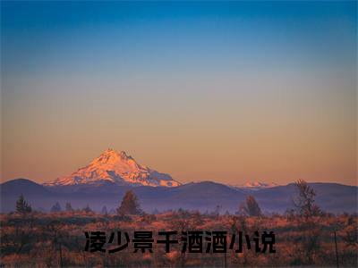 凌少景千酒酒免费阅读无弹窗大结局-洞房花烛夜，世子他被迫圆房了（最新全章节大结局）全文阅读