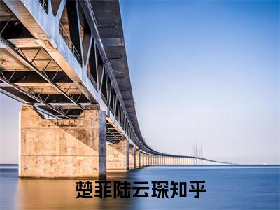 楚菲陆云琛免费阅读无弹窗（楚菲陆云琛）全文免费阅读无弹窗大结局_(楚菲陆云琛)楚菲陆云琛最新章节列表_笔趣阁（楚菲陆云琛）