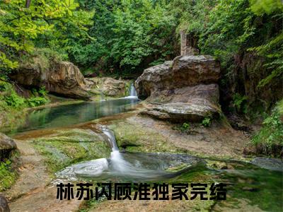 林苏闪顾淮(林苏闪顾淮)小说免费阅读大结局无弹窗_(林苏闪顾淮)最新章节列表笔趣阁（林苏闪顾淮）