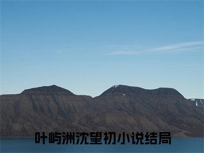 叶屿洲沈望初免费小说,叶屿洲沈望初全文免费阅读无弹窗大结局