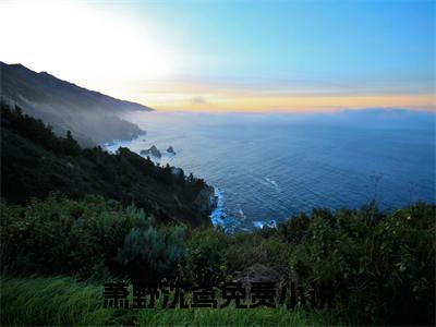 萧野沈鸢（萧野沈鸢）免费阅读完整版-萧野沈鸢全文大结局已完结