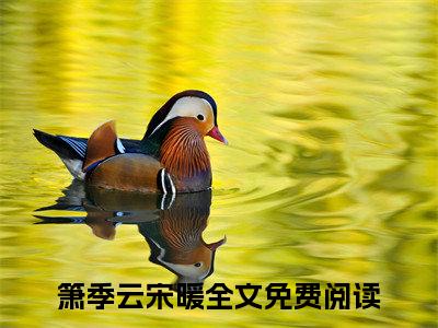 箫季云宋暖高赞小说（锁元鸾）完结阅读_锁元鸾免费看全文