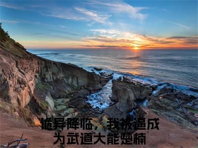 热门榜单精彩小说诡异降临，我被逼成为武道大能楚楠，诡异降临，我被逼成为武道大能楚楠推荐小说免费章节阅读