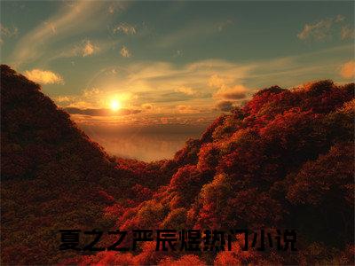 夏之之严辰煜（夏之之严辰煜)小说免费阅读在线阅读_夏之之严辰煜全文免费阅读_笔趣阁