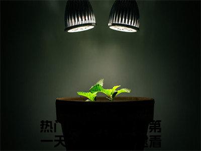 穿越盗笔第一天，我被小哥逮着了齐全豪门小说《穿越盗笔第一天，我被小哥逮着了齐全》最新章阅读-穿越盗笔第一天，我被小哥逮着了齐全小说今日更新