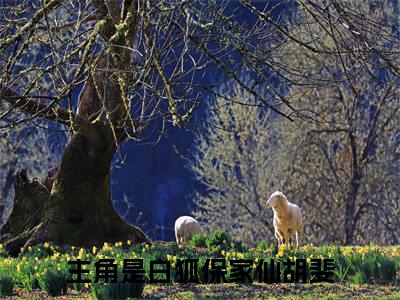 白狐保家仙胡斐精彩章节在线阅读-白狐保家仙胡斐美文欣赏