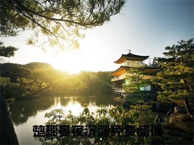 全网热搜小说（楚璃晏夜沉渊）的小说完整版免费阅读 主角是楚璃晏夜沉渊无弹窗免费阅读