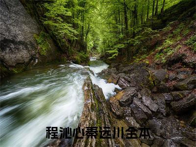 程沁心秦远川小说全文免费阅读大结局-程沁心秦远川最新章节列表免费阅读