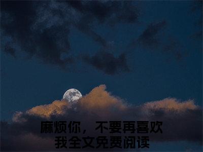 宋晚笙江流风傅叙言麻烦你，不要再喜欢我无广告阅读 新上热文麻烦你，不要再喜欢我在线免费读