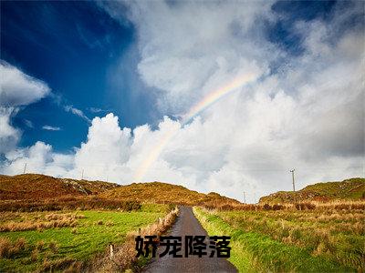 娇宠降落全文（牧檀辞魏宁）全文免费阅读无弹窗大结局_牧檀辞魏宁最新章节列表_笔趣阁（娇宠降落）