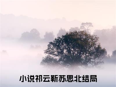 祁云靳苏思北小说（心上厚爱）完整版大结局-心上厚爱小说免费阅读