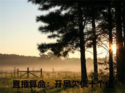 直播算命：开局欠债十个亿（纪摇光傅聿辞）全文免费阅读无弹窗大结局_纪摇光傅聿辞小说最新章节列表