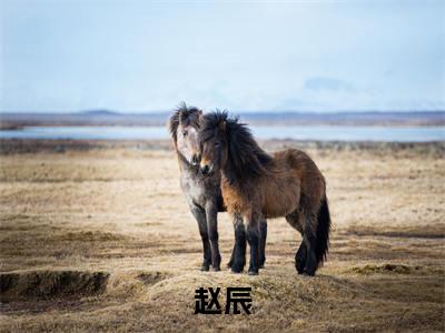 特级警司（赵辰）全文免费阅读无弹窗大结局_(赵辰小说免费阅读)_笔趣阁