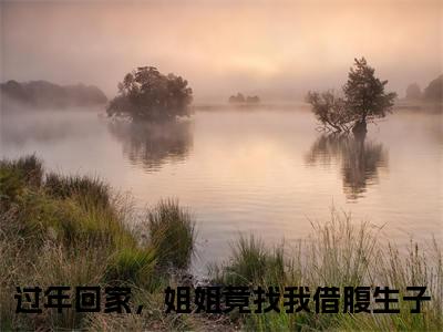 姜早早全网首发最新小说，主角过年回家，姐姐竟找我借腹生子全文在线免费阅读