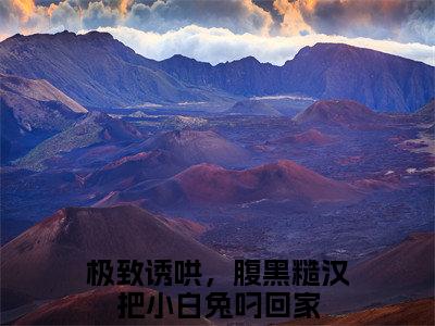 闻炽苏沁全本小说无弹窗阅读-闻炽苏沁（极致诱哄，腹黑糙汉把小白兔叼回家）精彩热门小说