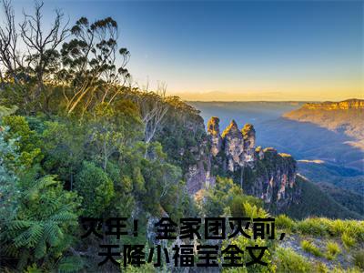 灾年！全家团灭前，天降小福宝（邰金珠）小说全文免费阅读无弹窗大结局_（邰金珠免费阅读）灾年！全家团灭前，天降小福宝最新章节列表笔趣阁