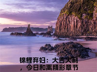 沈盈夏（锦鲤弃妇：大吉大利，今日和离）全文免费阅读无弹窗大结局_（沈盈夏）锦鲤弃妇：大吉大利，今日和离最新章节列表_笔趣阁