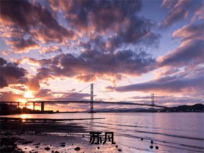 主角为苏凡的小说（联盟：这选手醉酒比赛，全网笑疯）大结局免费阅读-联盟：这选手醉酒比赛，全网笑疯全文免费阅读笔趣阁