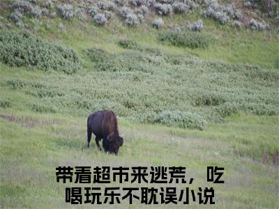 带着超市来逃荒，吃喝玩乐不耽误（赵玉玉）全文免费阅读无弹窗大结局_带着超市来逃荒，吃喝玩乐不耽误免费阅读无弹窗最新章节列表_笔趣阁（带着超市来逃荒，吃喝玩乐不耽误）