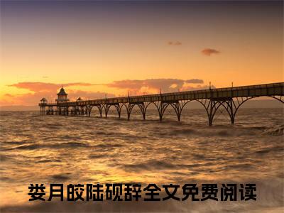 娄月皎陆砚辞在线阅读全文 (娄月皎陆砚辞免费大结局)小说无弹窗广告