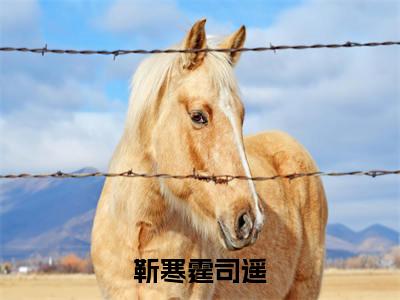 靳寒霆司遥（靳寒霆司遥）热文小说全文阅读-精彩美文靳寒霆司遥免费阅读