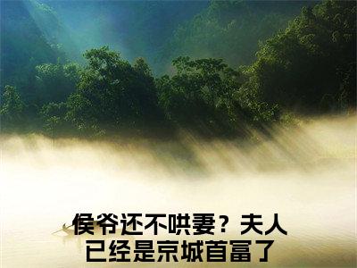舒远陆沧洲小说大结局完整版阅读，侯爷还不哄妻？夫人已经是京城首富了小说全文在线阅读