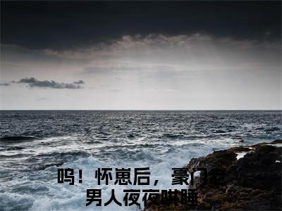 司湛寒凌清阮(呜！怀崽后，豪门老男人夜夜哄睡全文免费阅读)_司湛寒凌清阮小说最新章节免费阅读