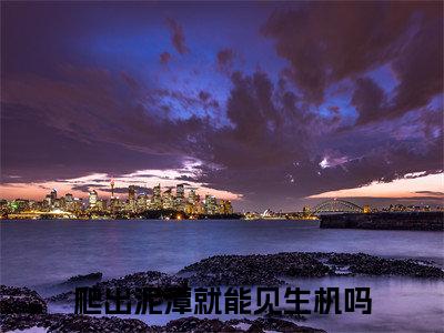 主人公叫（爬出泥潭就能见生机吗）的小说（姜卓宁晏别尘）免费阅读最新章节列表_笔趣阁