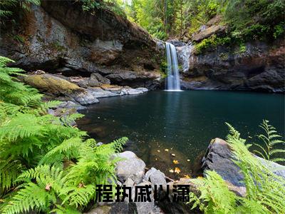 程执戚以潇免费阅读结局程执戚以潇无弹窗全本免费阅读