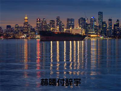 林曦付辞宇（林曦付辞宇）全文免费阅读无弹窗大结局_(林曦付辞宇小说免费阅读)_笔趣阁