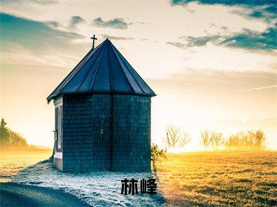 开局捕获校花，肚子里有小宝宝小说（林峰）全文免费阅读无弹窗大结局_开局捕获校花，肚子里有小宝宝小说最新章节列表