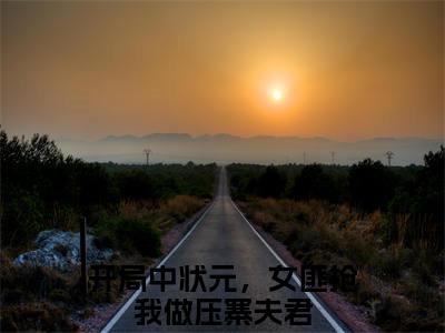 开局中状元，女匪抢我做压寨夫君（王悍）小说全文免费阅读正版无弹窗_(王悍)免费阅读无弹窗最新章节列表