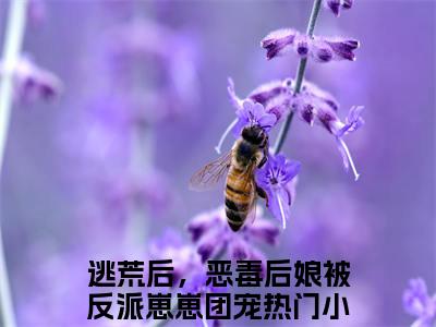 逃荒后，恶毒后娘被反派崽崽团宠在线阅读（涂晚）全文无弹窗大结局_涂晚全文在线阅读无弹窗