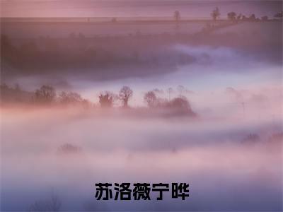 苏洛薇宁晔（苏洛薇宁晔）全文免费阅读无弹窗大结局_(苏洛薇宁晔小说免费阅读)最新章节_笔趣阁