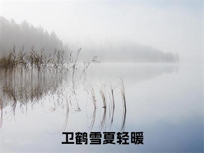 卫鹤雪夏轻暖小说（卫鹤雪夏轻暖）全文免费阅读无弹窗大结局_卫鹤雪夏轻暖最新章节在线阅读