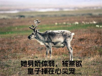 苏若棠墨瑢晏小说（她身娇体弱，被禁欲皇子捧在心尖宠）全文免费阅读无弹窗大结局_苏若棠墨瑢晏全文免费完结版阅读（她身娇体弱，被禁欲皇子捧在心尖宠）