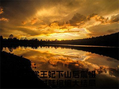 玄学王妃下山后震慑全京城陆绾绾全网首发最新小说-玄学王妃下山后震慑全京城陆绾绾全文在线免费阅读