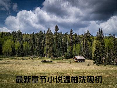 温柚沈砚初(温柚沈砚初)全文免费最新章节阅读_(温柚沈砚初)全章节免费在线阅读_笔趣阁（温柚沈砚初）