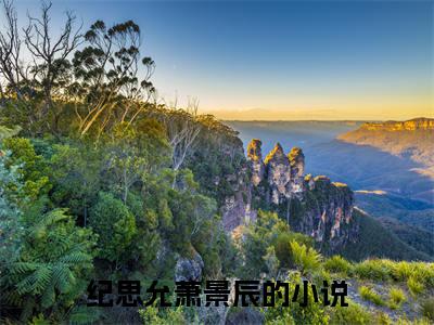 纪思允萧景辰（纪思允萧景辰）全文免费阅读无弹窗_纪思允萧景辰小说最新章节列表无删减_笔趣阁