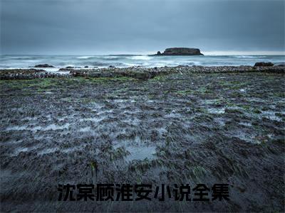 最火言情小说（沈棠顾淮安）-老书虫良心推荐沈棠顾淮安（沈棠顾淮安）小说精彩免费试读