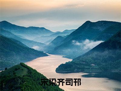 （宋染齐司邗）全文无弹窗阅读-小说主角叫什么宋染齐司邗