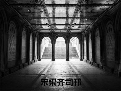 宋染齐司邗全文免费阅读（宋染齐司邗免费阅读无弹窗）宋染齐司邗最新章节列表_笔趣阁