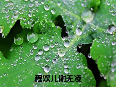 程欢儿谢无凌最新章节（程欢儿谢无凌）全文免费阅读无弹窗大结局_程欢儿谢无凌全文免费阅读